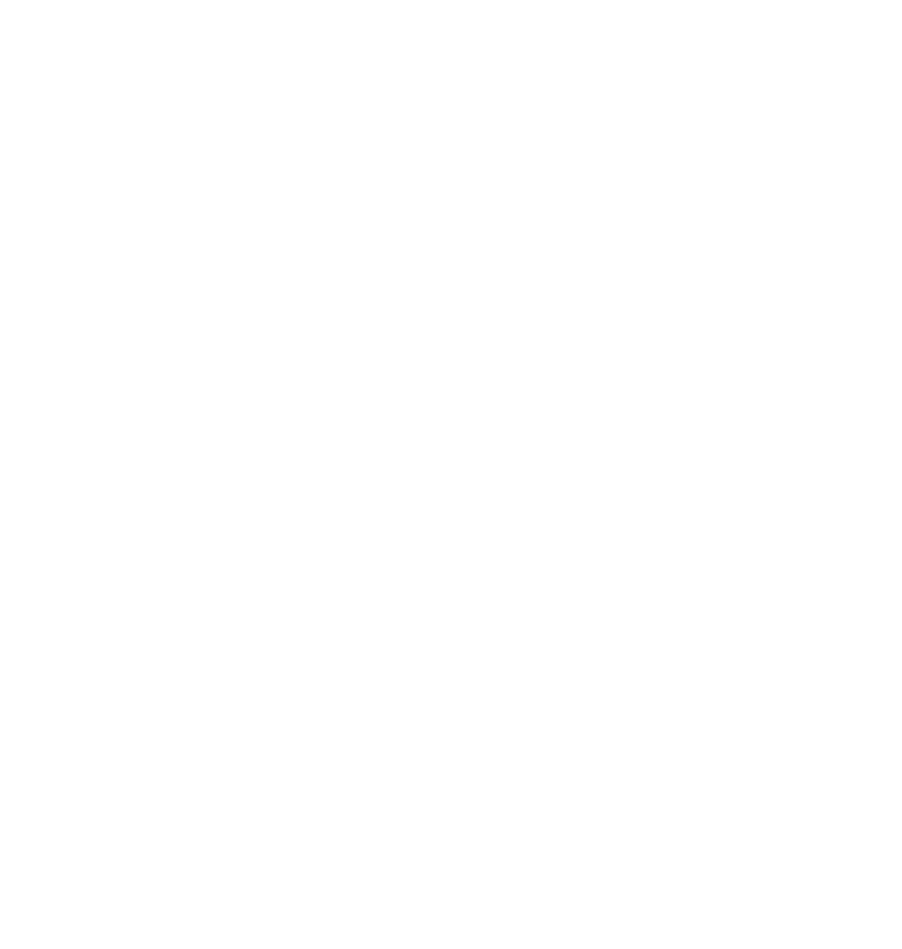 AI Companion